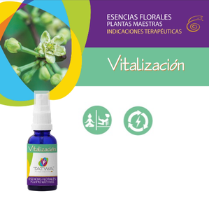 EF Vitalización